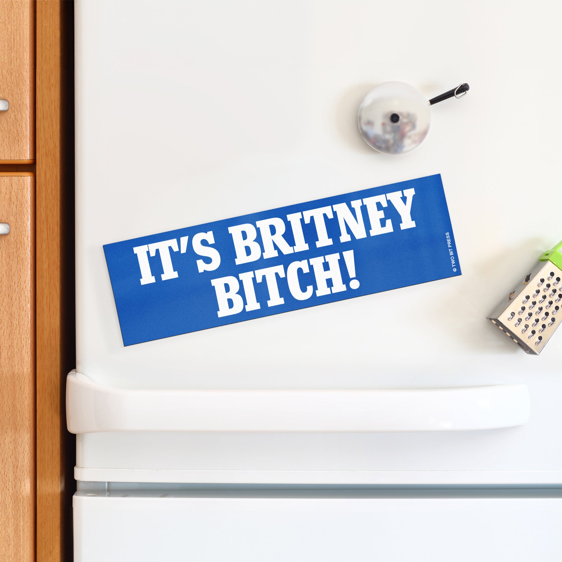 A vinyl bumper magnet reading "IT'S BRITNEY BITCH" on a white fridge.