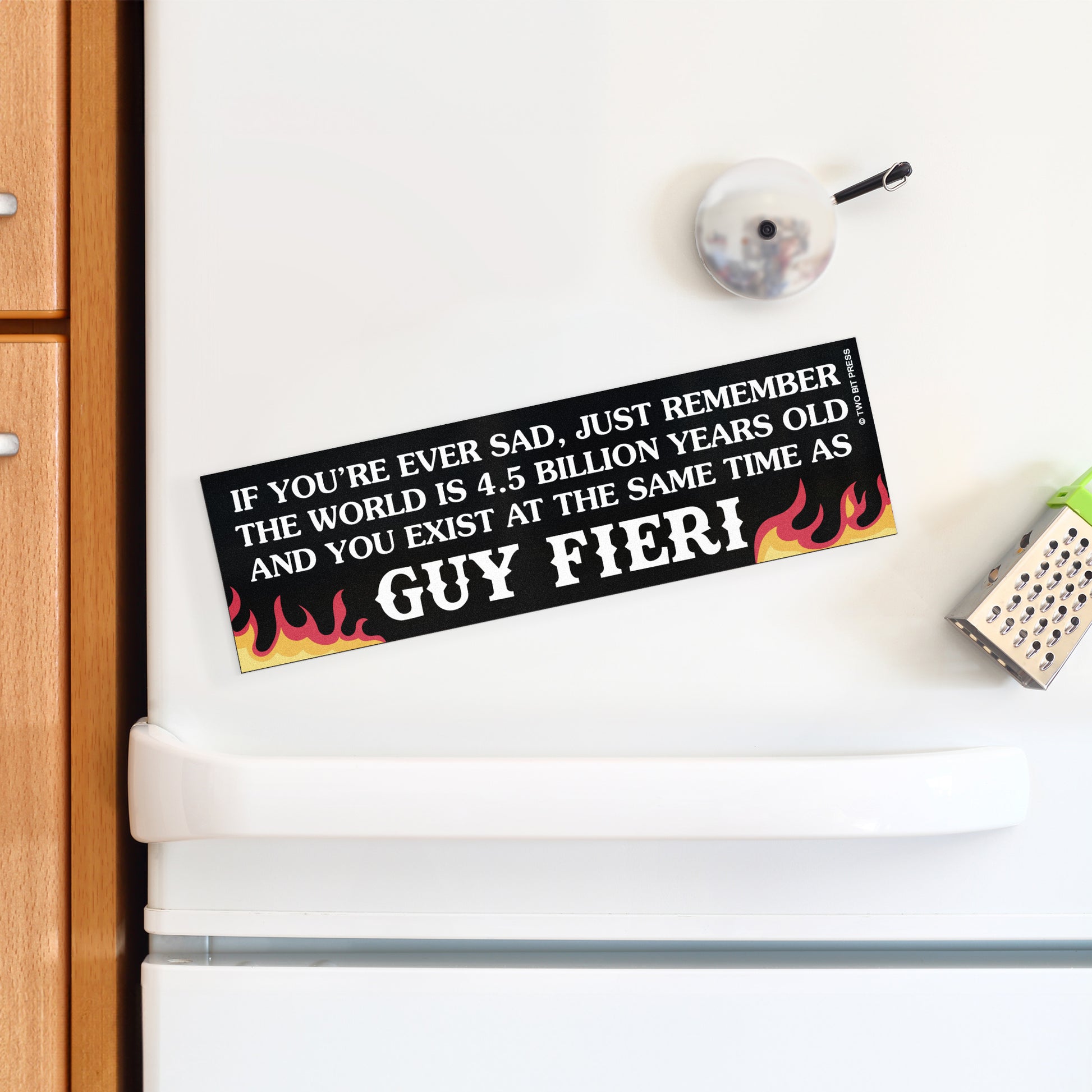 A vinyl bumper magnet reading "IF YOU'RE EVER SAD, JUST REMEMBER GUY FIERI" on a white fridge.