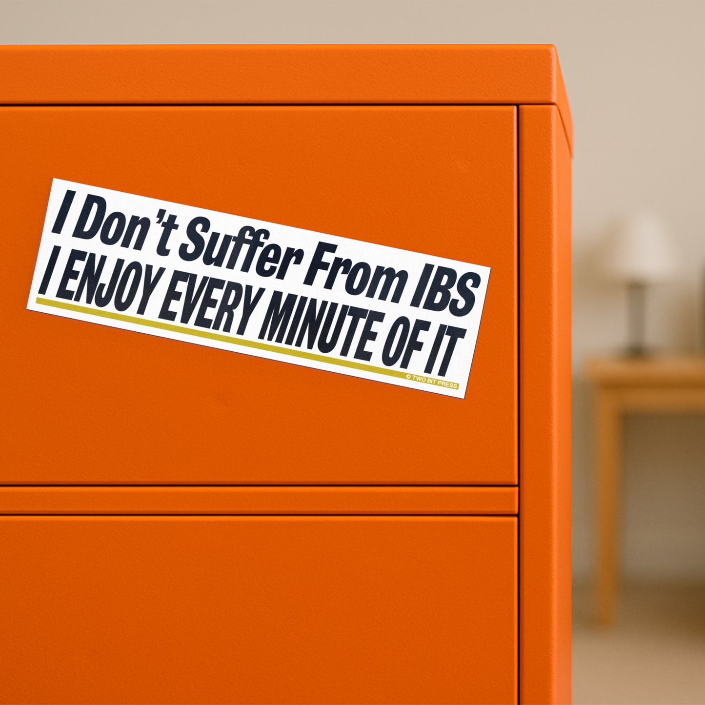 A vinyl bumper magnet reading "I Don't Suffer From IBS I ENJOY EVERY MINUTE OF IT" on orange filing cabinet.